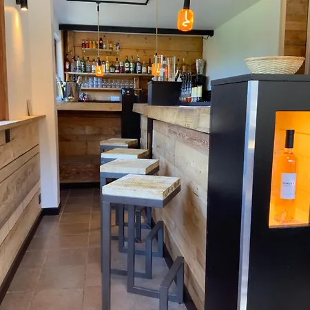 Hotel Hotel-bar-restaurant Les Domes De Miage